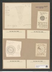 Coscinodiscus griseus Grev. (de-Toni-Nr.: Genus 202, Species 5114) Zeichnungen Sammlung Grunow Nr. 8876 (NHMW-BOT-W0378517)